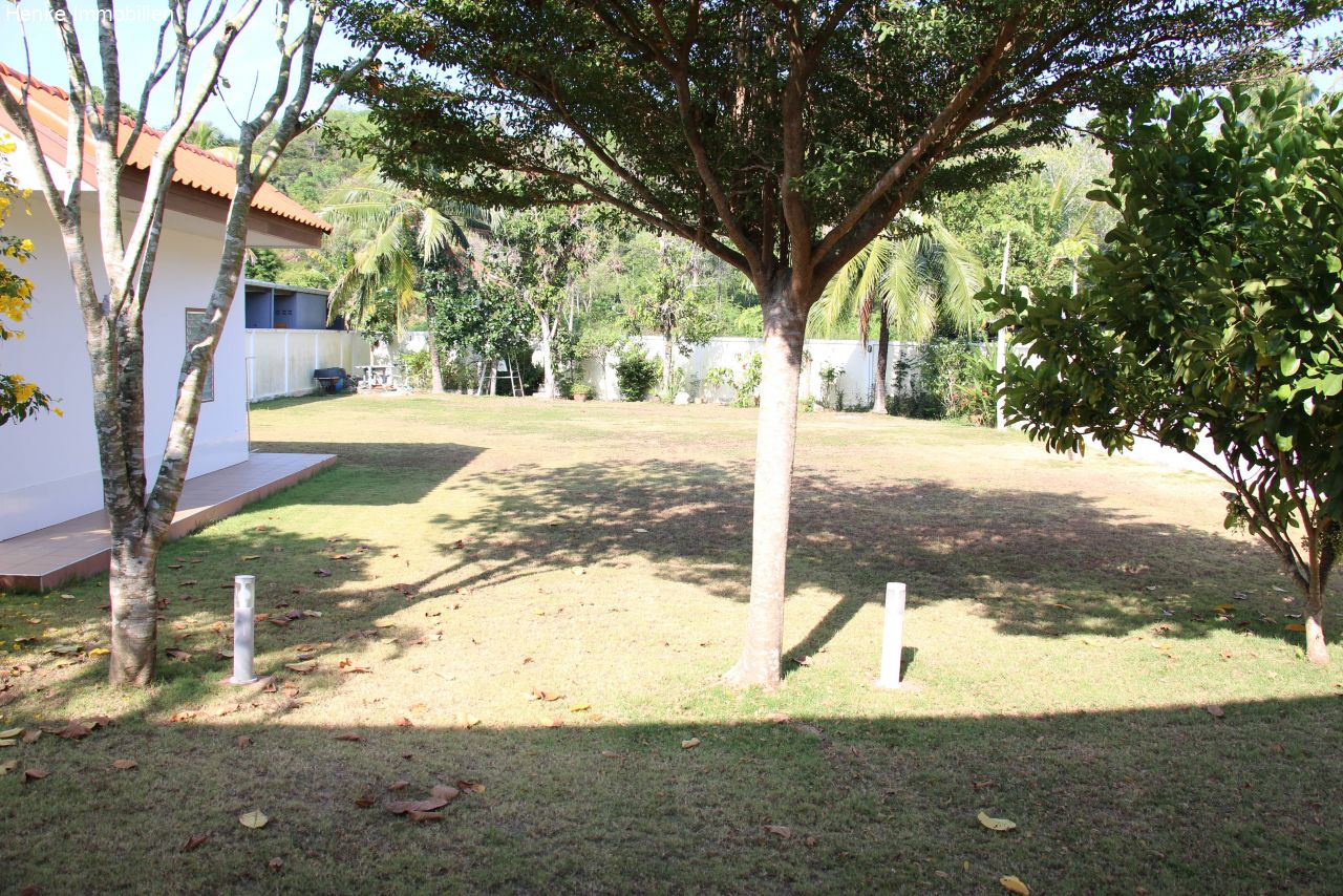 IMG 0029-min IMG 0029-min