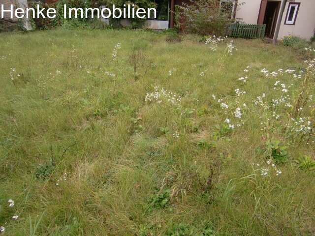 . Garten, CIMG