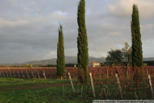 Weingut