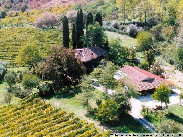 Vogelperspektive Weingut